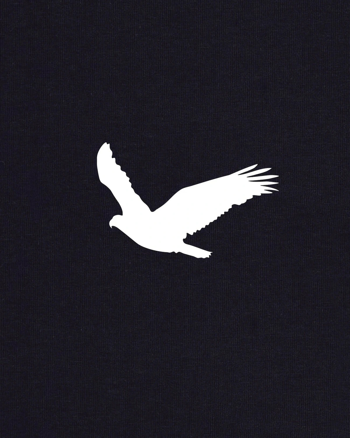 T-Shirt Aigle Minimal Street